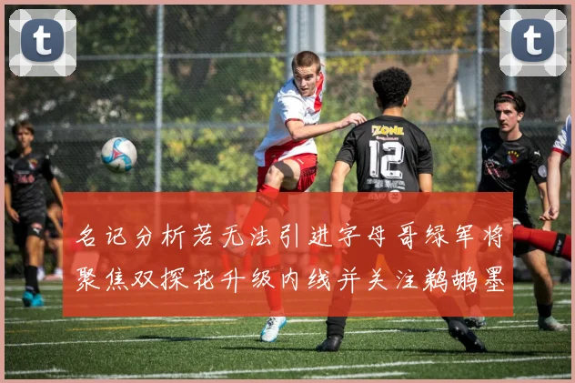 名记分析若无法引进字母哥绿军将聚焦双探花升级内线并关注鹈鹕墨菲